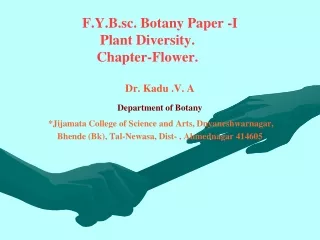 F.Y.B.sc. Botany Paper -I       Plant Diversity.     Chapter-Flower.