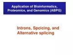 Unraveling the Intriguing World of Introns in Genomics - slide 1