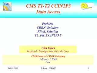 CMS T1-T2 CCIN2P3 Data Access