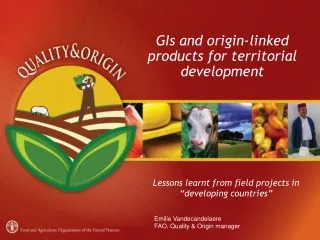 GIs and origin-linked products for territorial development