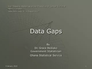 Data Gaps By  Dr. Grace Bediako Government Statistician Ghana Statistical Service