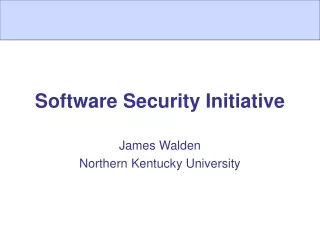 Software Security Initiative