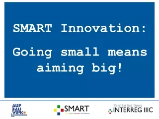 SMART Innovation: Going small means aiming big!