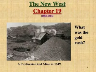 The New West  Chapter 19 (1865-1914)