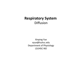 Respiratory System  Diffusion Xinping Yue xyue@lsuhsc Department of Physiology LSUHSC-NO