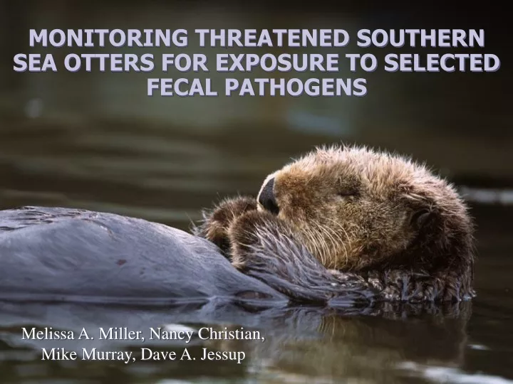 monitoring threatened southern sea otters for exposure to selected fecal pathogens