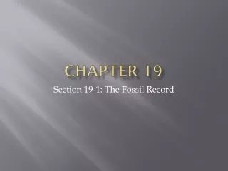 Chapter 19