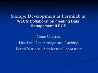 Storage Development at Fermilab at  WLCG Collaboration meeting Data Management II BOF
