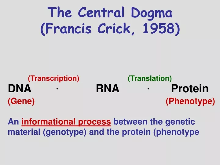 the central dogma francis crick 1958