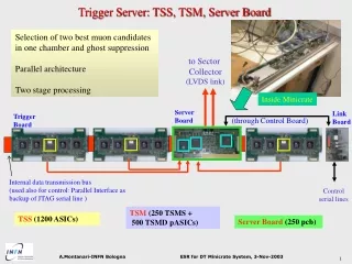 Trigger Server: TSS, TSM, Server Board