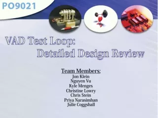 VAD Test Loop:  			Detailed Design Review