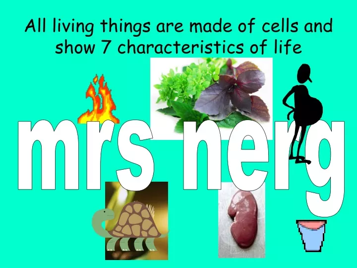 all living things are made of cells and show