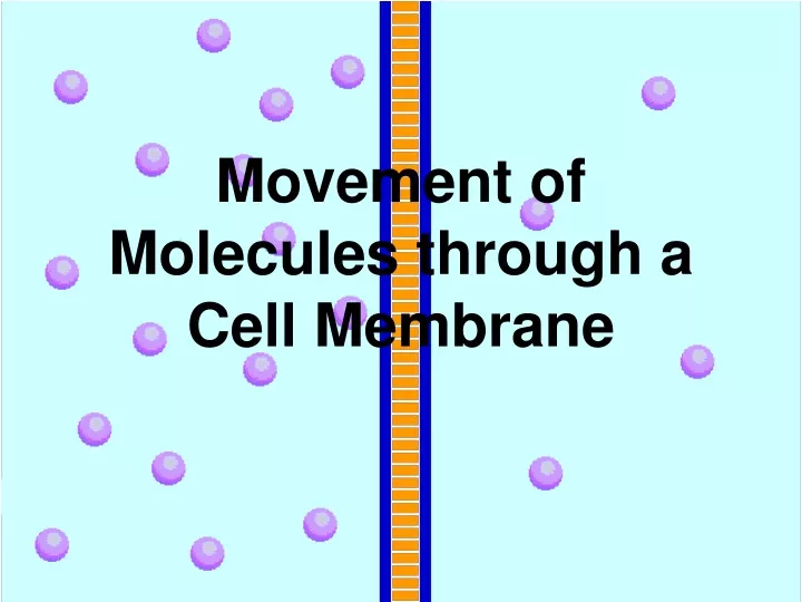 movement of molecules through a cell membrane