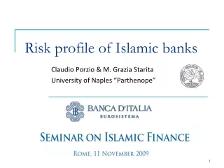 Risk profile of Islamic banks