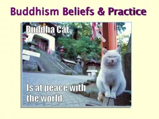 Buddhism Beliefs &amp; Practice