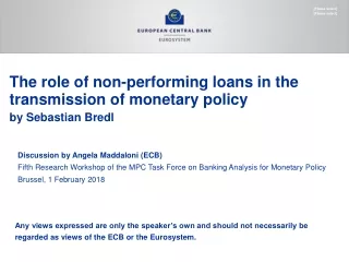 The role of non-performing loans in the transmission of monetary policy  by Sebastian Bredl