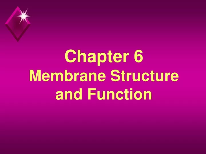 chapter 6 membrane structure and function