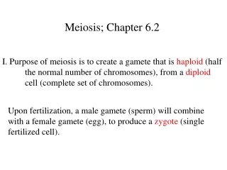 Meiosis; Chapter 6.2