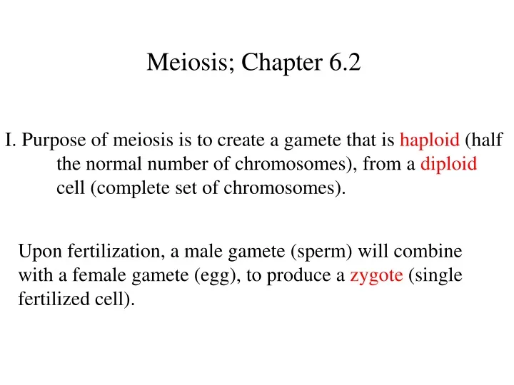 meiosis chapter 6 2