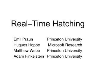 Real–Time Hatching