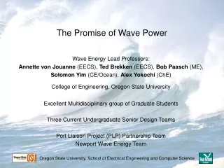 The Promise of Wave Power