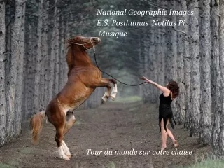 National Geographic Images        E.S. Posthumus  Notilus Pi         Musique
