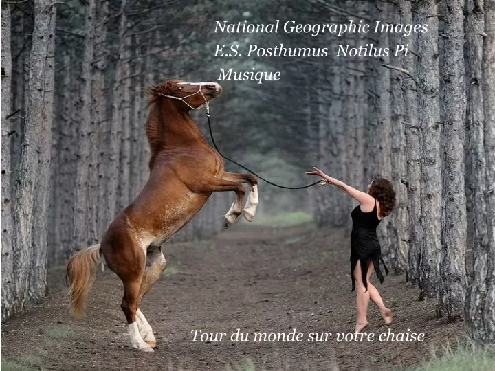 national geographic images e s posthumus notilus pi musique tour du monde sur votre chaise