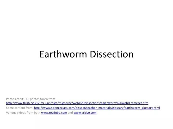 earthworm dissection