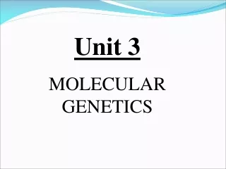 Unit 3 MOLECULAR GENETICS