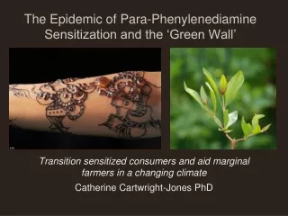 The Epidemic of Para-Phenylenediamine Sensitization and the ‘Green Wall’