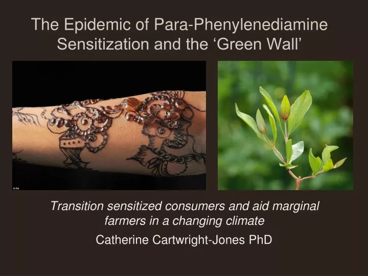 the epidemic of para phenylenediamine sensitization and the green wall