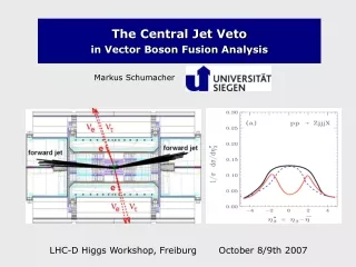 The Central Jet Veto in Vector Boson Fusion Analysis