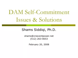 DAM Self-Commitment Issues &amp; Solutions