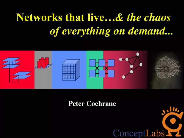 networks that live the chaos of everything