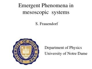 Emergent Phenomena  in mesoscopic  systems