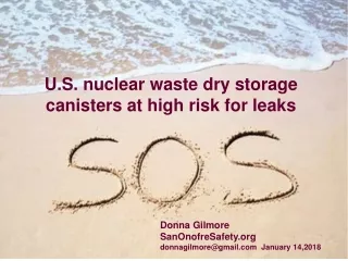 U.S. nuclear waste dry storage canisters at high risk for leaks