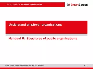 Handout 6:  Structures of public organisations