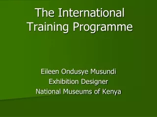 The International Training Programme