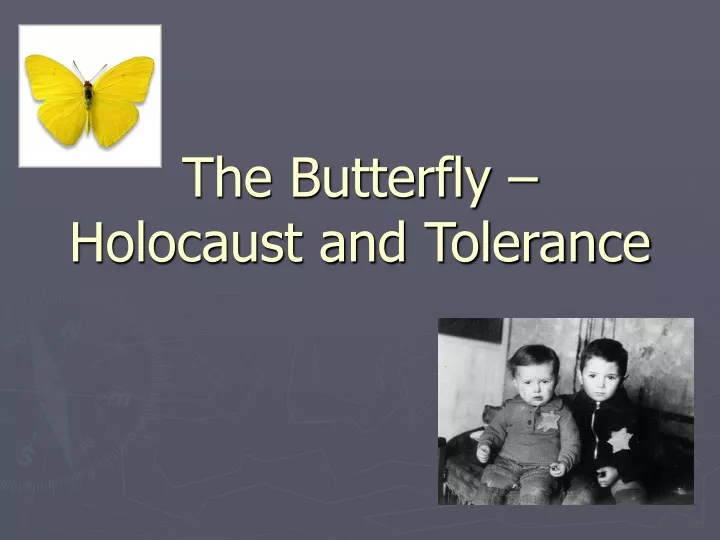the butterfly holocaust and tolerance