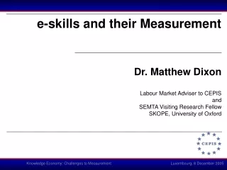 e-skills and their Measurement