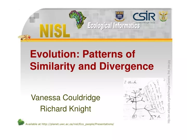 evolution patterns of similarity and divergence