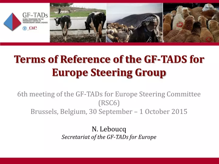 terms of reference of the gf tads for europe