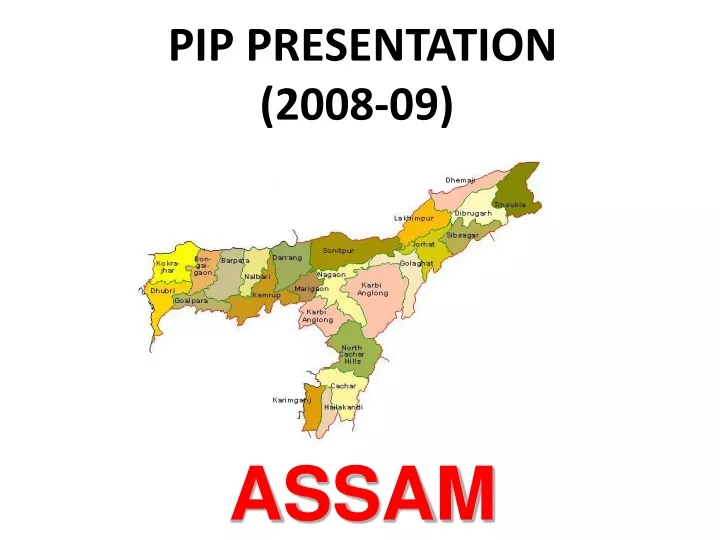 pip presentation 2008 09
