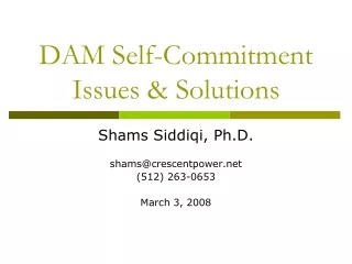 DAM Self-Commitment Issues &amp; Solutions