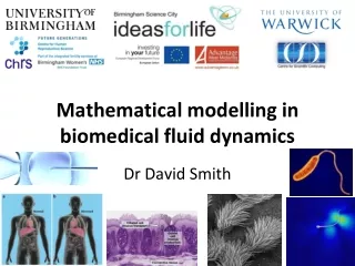 Mathematical modelling in biomedical fluid dynamics