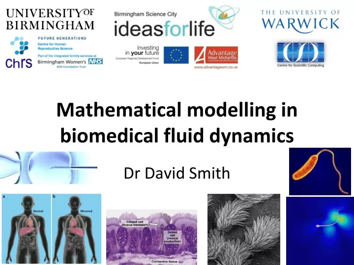 mathematical modelling in biomedical fluid dynamics