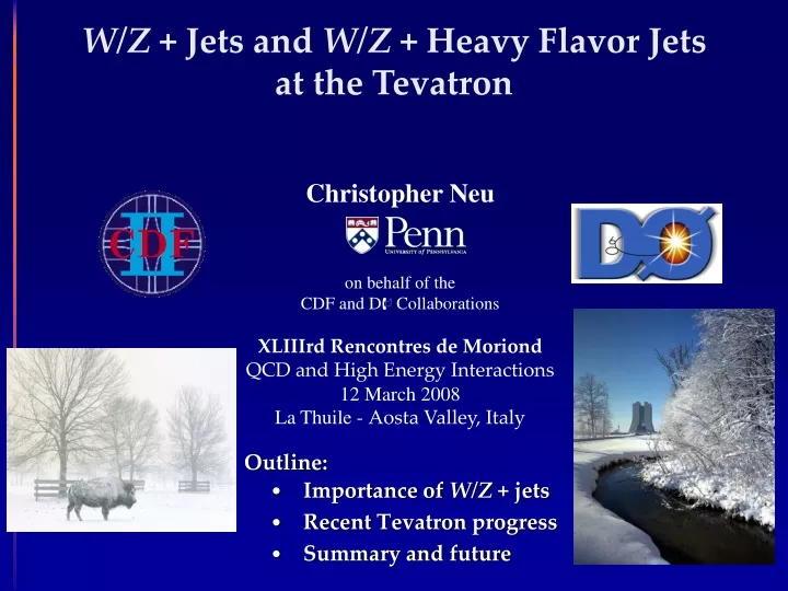 w z jets and w z heavy flavor jets at the tevatron