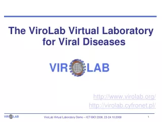 The ViroLab Virtual Laboratory for Viral Diseases