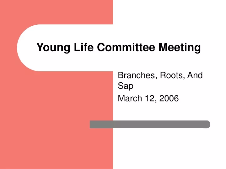 young life committee meeting