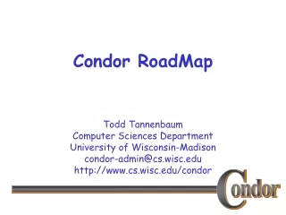 Condor RoadMap
